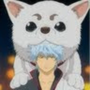 Meet your Posher, Jade